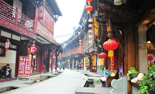 福建龙岩,梅花山华南虎繁育研究所,母虎“欢欢”喜添三只虎宝宝